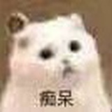 雨落书