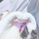 BRO_K