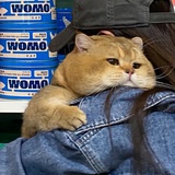 福喜宝