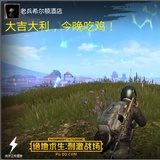 吃鸡gggg