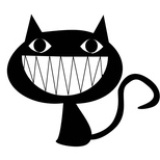 猫叔