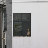 常纪