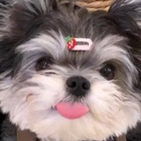知足