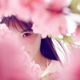 海东青是少女金