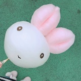 折耳二喵