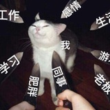 烧仙草