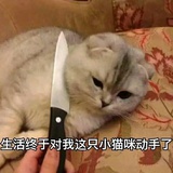 太阳出来咿哟喂