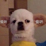 不吃葱