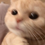 路佳闻