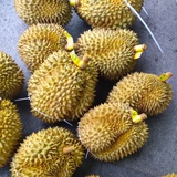 夹心海苔