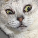 qdhqdhqdh