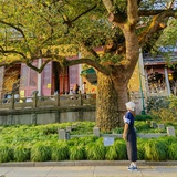 烟生雾涟-