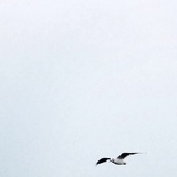 小海