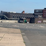 试图成为赛博格