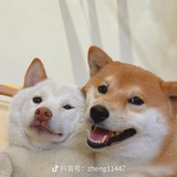 阳光如此绚烂