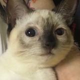 一个好人