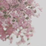 木头