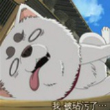 我是花