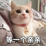 脸盆大的桃子