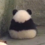 我的宝物是世勋