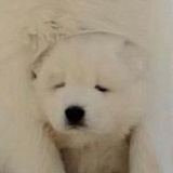 月亮出来啦