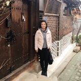 李政赫的番茄苗