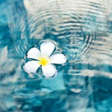 江湖在逃江湖骗子