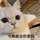 星星眼🤩