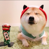 苗苗吃花生