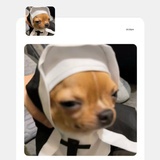 美女的事你少管