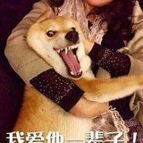 一只狗的肉嘟嘟
