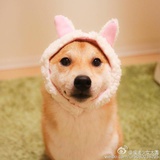 赵子秋很中二