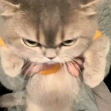 wow