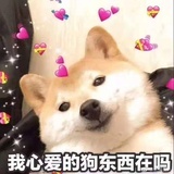 眼中有星辰