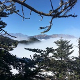 小M最爱吃栗子