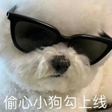 今晚不下雨