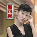 胃犬