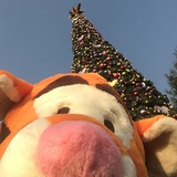 天使蛋白