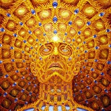 半个博士