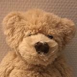 熊不高兴