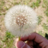 风筝