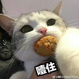 红尘。