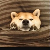 周杰伦