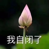 穗比比