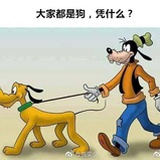 布规则