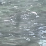 きりやま れい