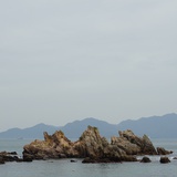 665683-Zee