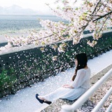 紫藤花园