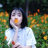 我只是个OL