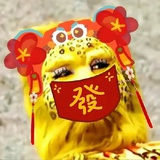 飛天貓®